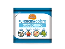 FUNGICIDA COBRE OXICLORURO WP 50 GR EXP