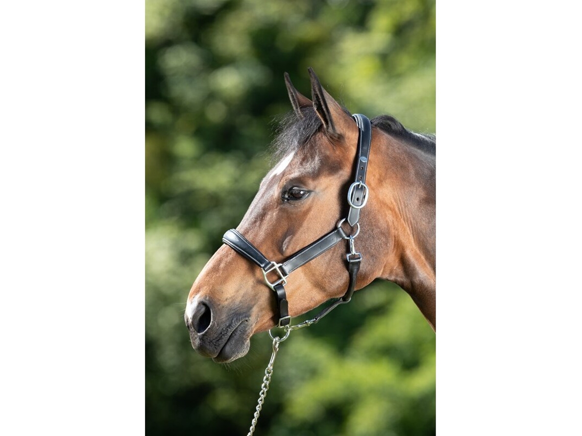 Cabezada de cuero para caballos HFI Grooming
