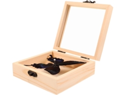 Juego Exhibición Lepidópteros Ejemplar Decorativo Madera Transparente Protección Presentación Insectos Regalo