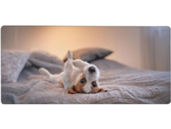 Besportble Adorable De Ratón Grande Con Diseño De Perro Jack Russell Terrier Y Goma Antideslizante 40 X 90 Cm