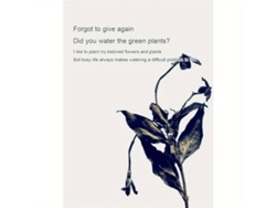 Estacas de riego ajustables Pickifypunnyb Slo Slowmoose para plantas