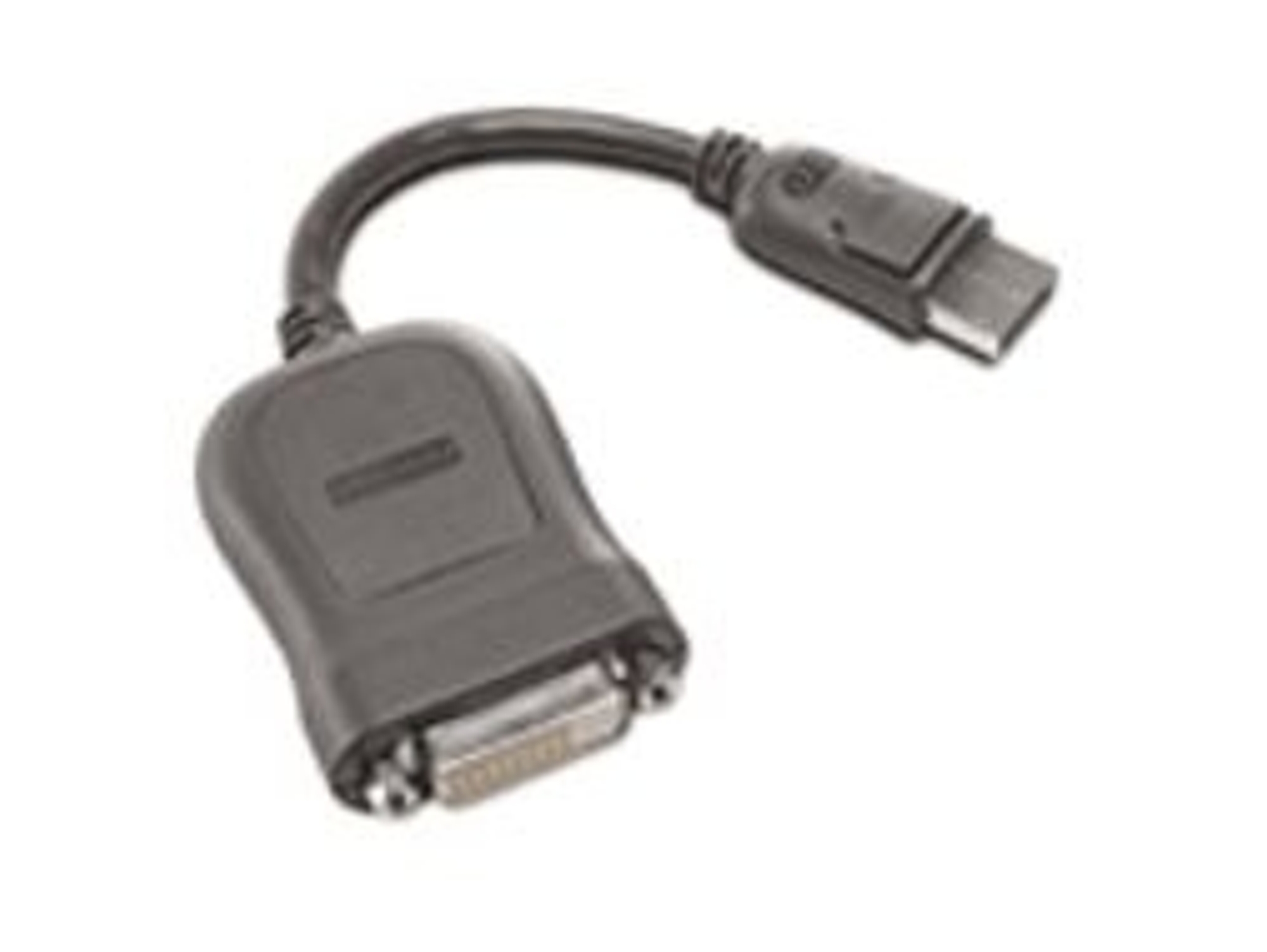 Cable de interfaz LENOVO 45J7915 DVI-D DisplayPort