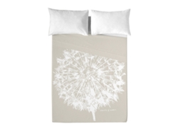 Sábana Encimera DEVOTA & LOMBA (39.00 x 30.00 x 2.00 cm - Algodón - Multicolor)