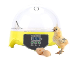Incubadora Automática Digital Para 7 Huevos Con Volteo Automático De Sugoumei.