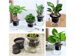 Suministros de cultivo hidropónico de plástico PP reutilizables, raíces sanas, drenaje uniforme para plantas de interior, jardín acuapónico adecuado (10