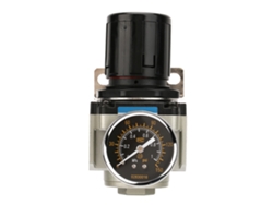 Conjunto de filtro de aire (filtración de aire, protección del motor)