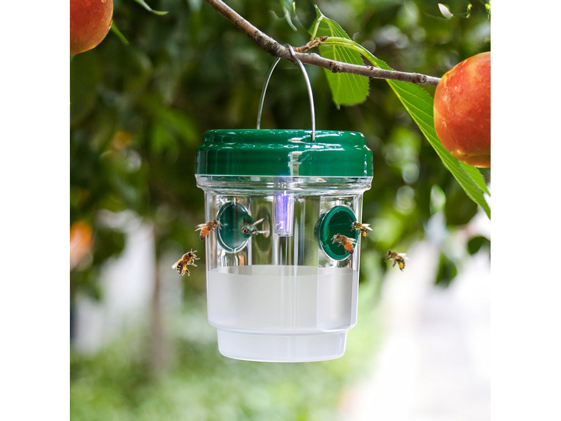 Trampa solar para moscas de la fruta y avispas, verde PP Tommy01