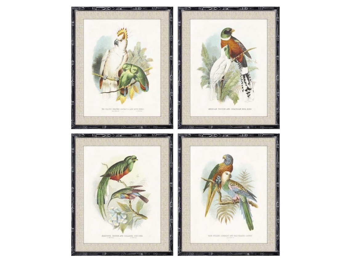 Cuadro DKD HOME DECOR Birds (50 x 2 x 60 cm)