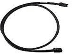 Cable INTEL (SCSI - 0.8 m)