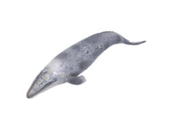 Ats-colección De Figuras De Ballenas Grises Simuladas Juguetes Modelos Educatsivos De Vida Marina Mundo Marino