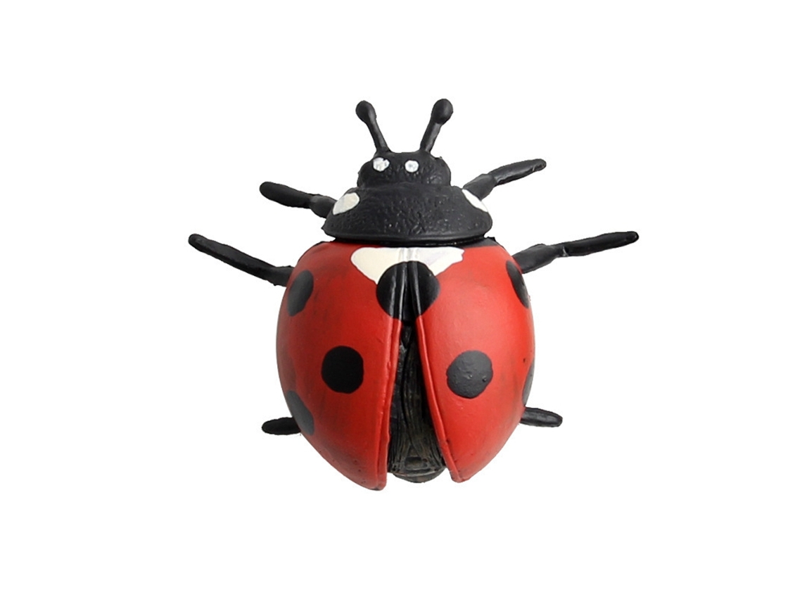 2026 Modelos de plástico de insectos y animales para niños Juguete educativo Figura de simulación (5)
