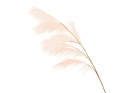Hierba De La Pampa Artificial Fluffy Decorativa Plantas Falsas Para Decoración Hogar