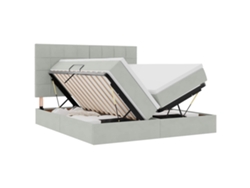 Maison Exclusive - Cama De Almacenamiento Led Con Colchón Gris Claro 200 X 200 Cm