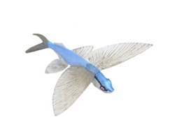 Ats-figura De Pez Volador De Plástico Sólido Modelo De Animal Marino Juguete Educativo Para Niños Niñas