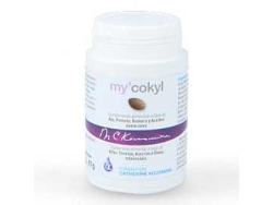 Complemento Alimentar NUTERGIA My'Cokyl (90 comprimidos)