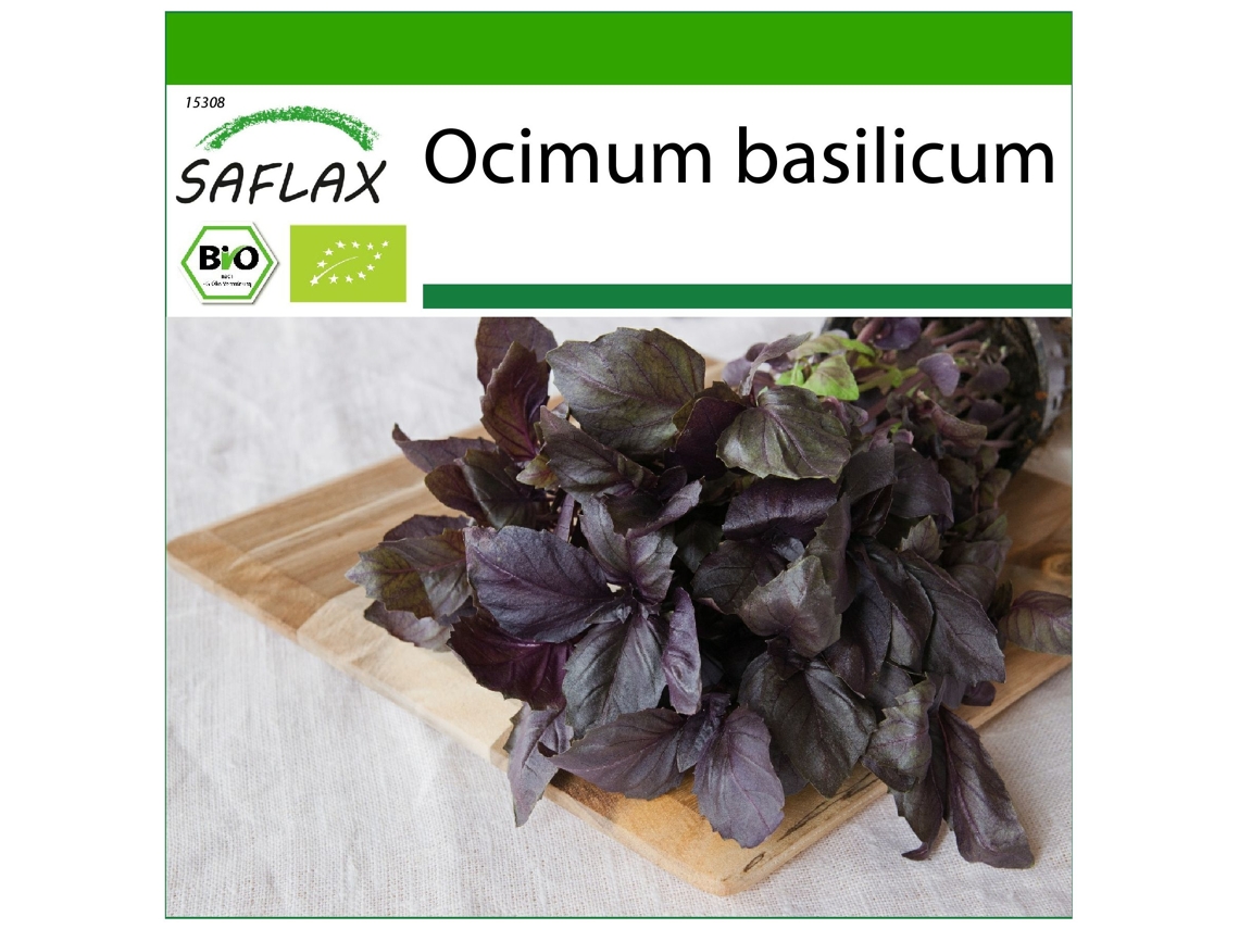 SAFLAX Ecológico Albahaca Roja 400 semillas Con sustrato de cultivo libre de gérmenes Ocimum basilicum
