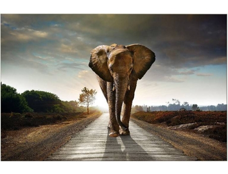 Cuadro HOMEMANIA HIO8681847151883 Elefante (100x3x50 cm)