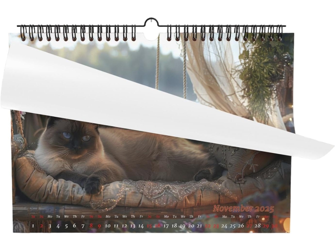 Calendario Planificador 2 Ario Para El De Gatos