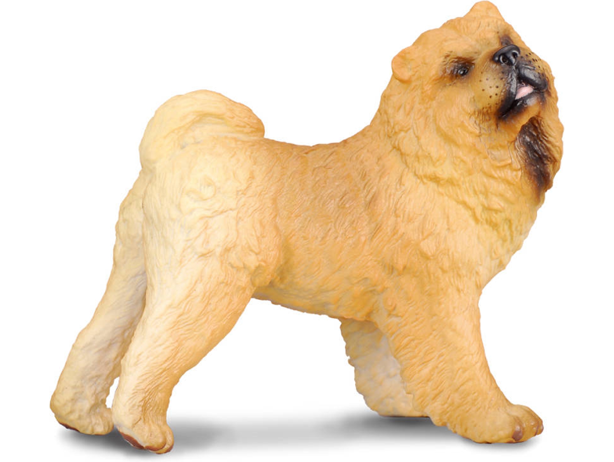 Figura COLLECTA Chow Chow