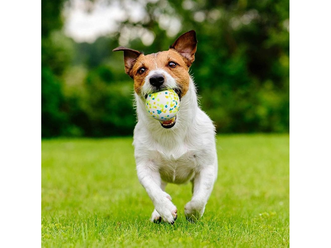2026-pelota De Goma Para Perros Juguete Masticable Limpieza Dental Jugar Entrenar Flotante E-tpu Natural