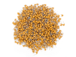 Veloriskku-condensador Cerâmico Monolítico 0,22uf 50v 5,08mm 10% Acessório 1000pcs