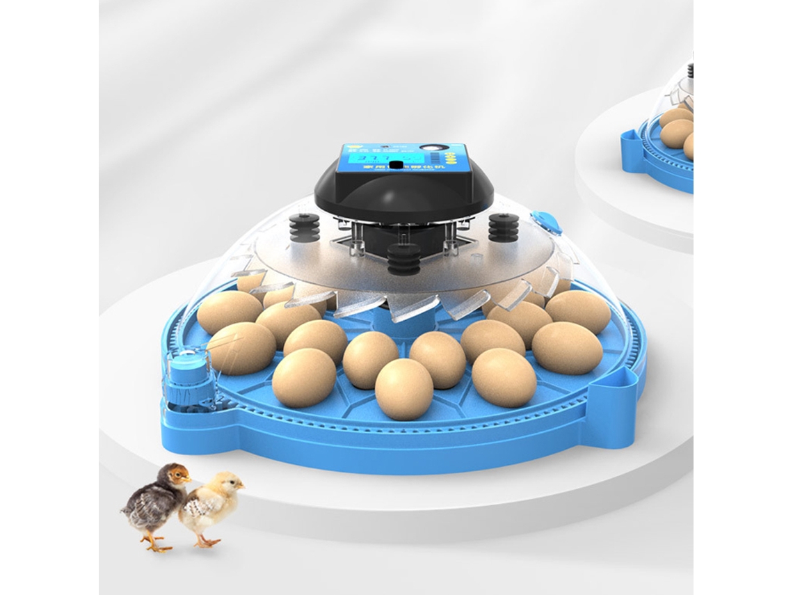 Incubadora de 24/48 huevos con volteo automático y control de humedad