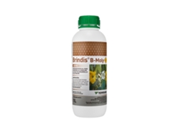 KENOGARD Preparação Especial para Conjunto de Floração e Desenvolvimento de Frutos B-Moly Toast Garrafa de 1 Litro