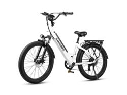 Bicicleta eléctrica RS A01 Plus, motor de 750 W, batería de 48 V y 14 Ah, 263 pulgadas, Samebike