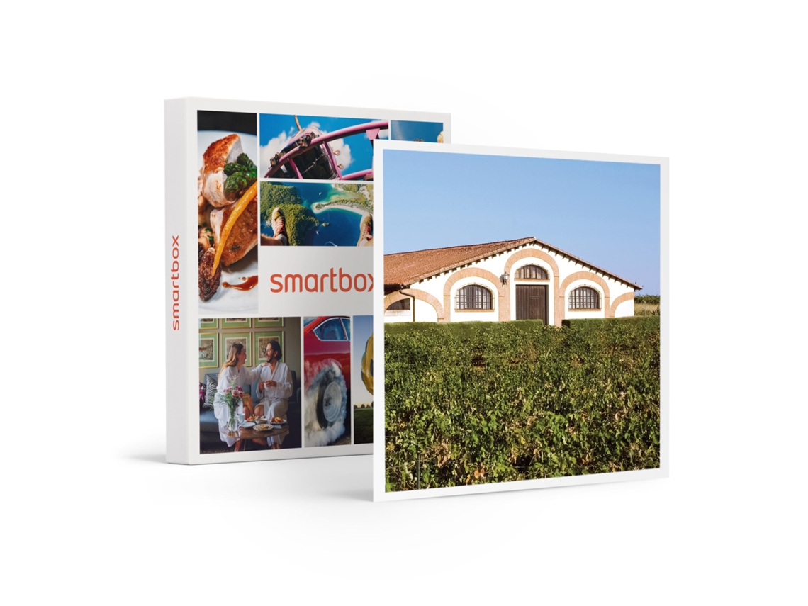 Caja Regalo SMARTBOX Bodegas Fariña: visita guiada, museo vino-arte y cata de vinos