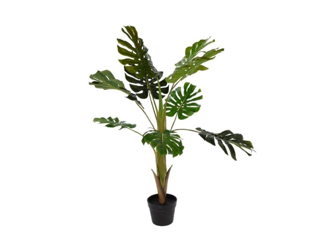 Planta Artificial 65 Cm Costilla Adan