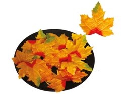 24 Hojas Calabazas naranjas