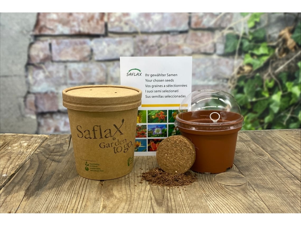 Semi Di Achillea Millefoglie - 200 Semi Profumati Per Erbe Officinali - Foto 8