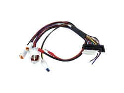 Cable de tarjeta electrónica POLINI POLINI EP3