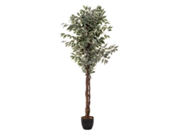 Árbol Ficus Verde Oscuro 180Cm FACTORY CUADROS
