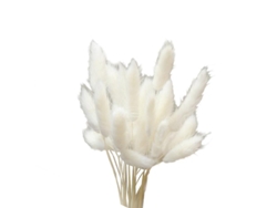 Las nuevas flores secas de 20 piezas ALLINLESS
