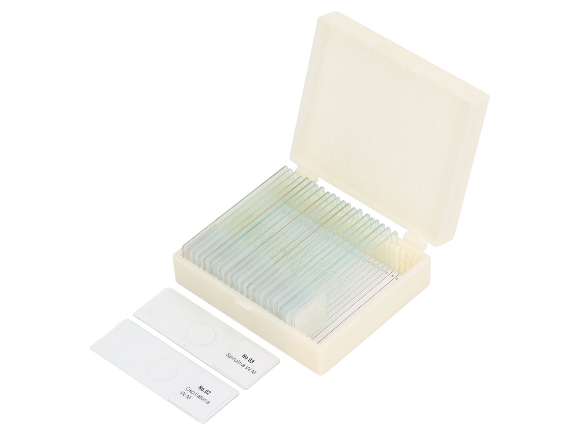 25 Portaobjetos De Vidrio Óptico Transparente Para Microscopio, Ideales Para Muestras De Células Y Tejidos Vegetales.