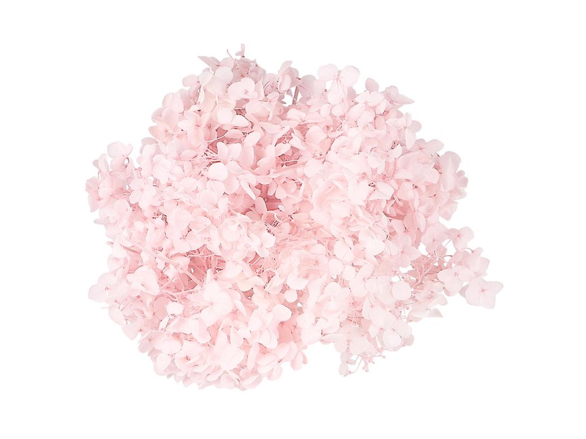 1 Uds flores secas ALLINLESS