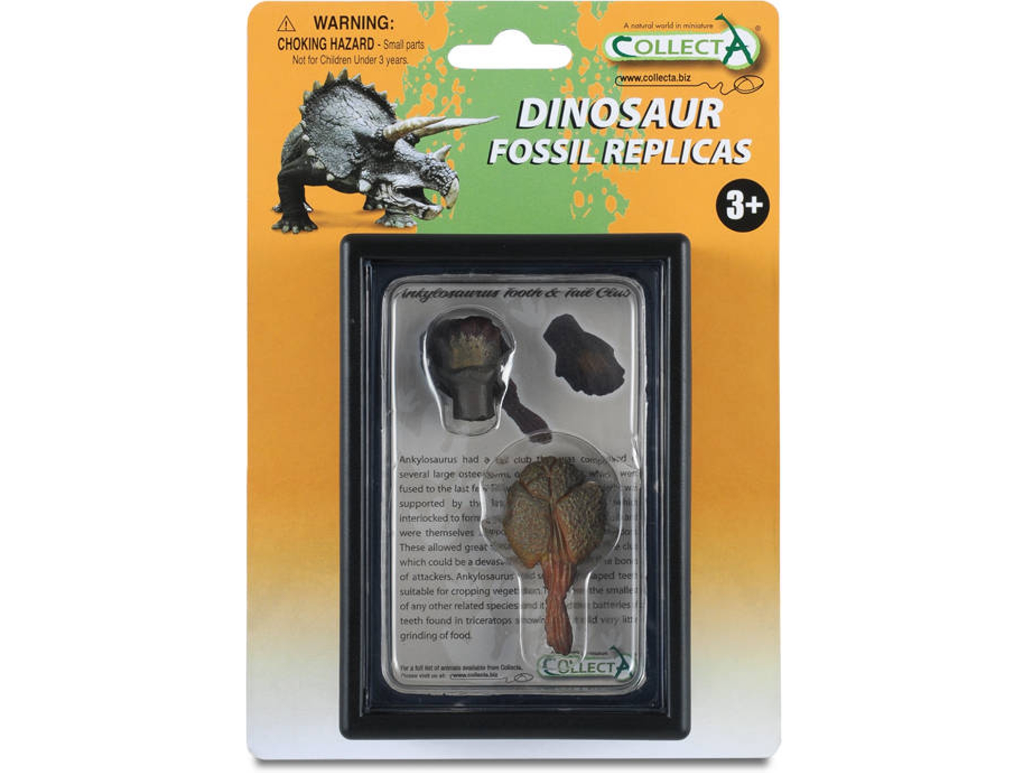 Figura COLLECTA Tooth And cauda Club Of Box Se Ankylosaurus