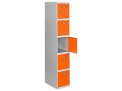 Simonlocker Profesional Desmontable 5 Puertas 1/5 400 Inicial Gris/Natural SIMON RACK