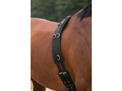 Caballo surfaix con respaldo HORKA