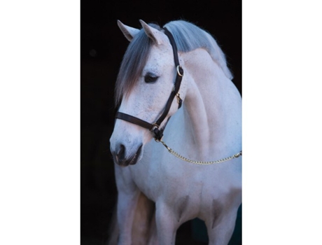xfull leather halter Kerbl eco