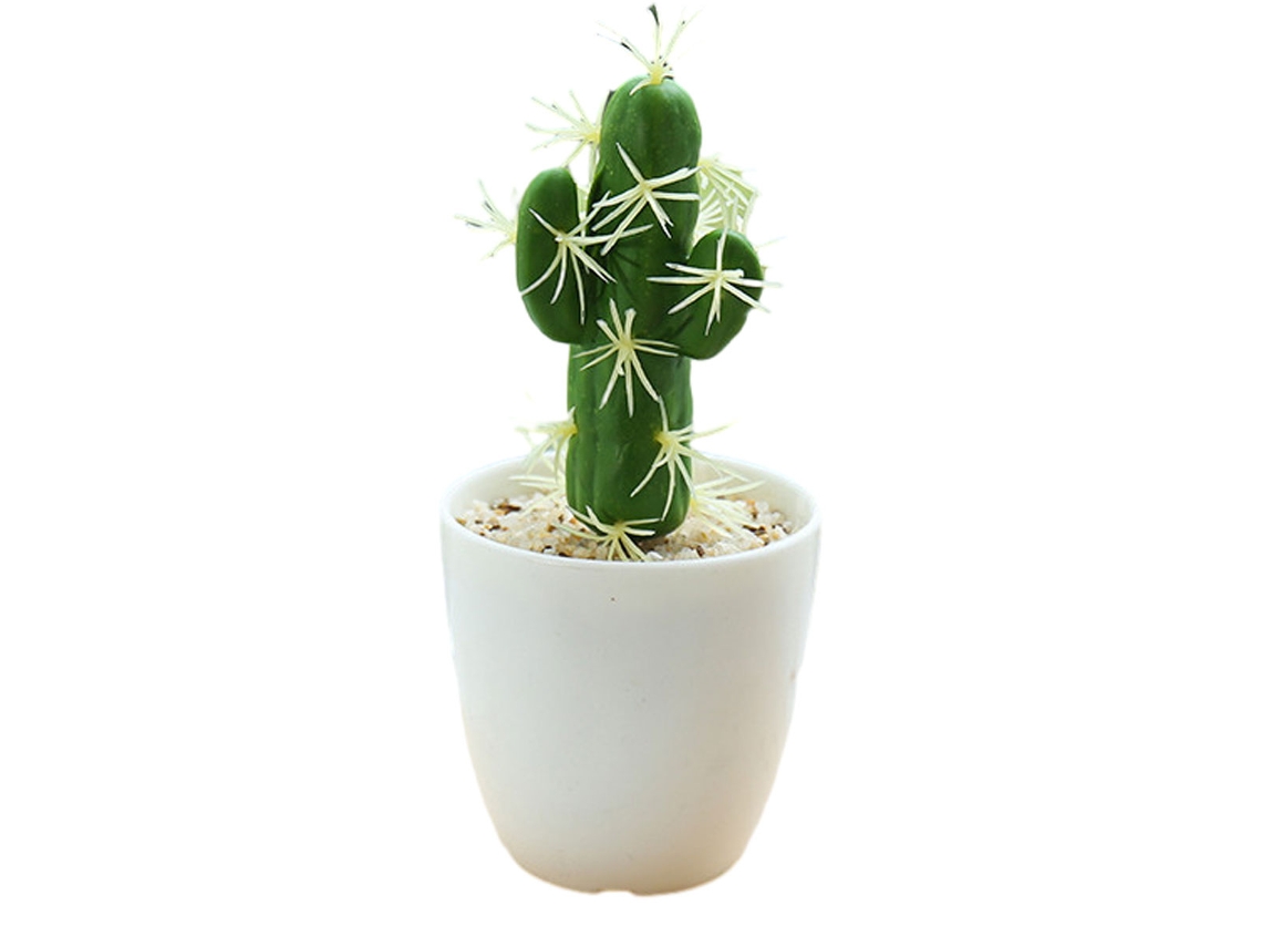 Pequeña planta tropical artificial simulación cactus bonsái simulación planta en maceta TRUYUETY