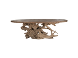 Mesa Comedor Teca Base Raiz Teca 240x120x78cm