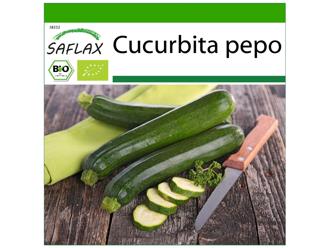SAFLAX Ecológico Calabacín Milán Negro 6 semillas Con sustrato de cultivo libre de gérmenes Cucurbita pepo