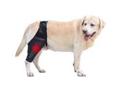 Rodillera Rebe para perros con correa, soporte para fracturas y artritis, ajustable y reversible, talla M.