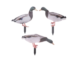 Estacas decorativas para jardín con patos, impermeables, de doble cara