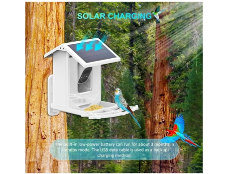 Cámara inteligente para observación de aves al aire libre, con IA para identificar especies de aves, carga solar, captura automática de videos de a...