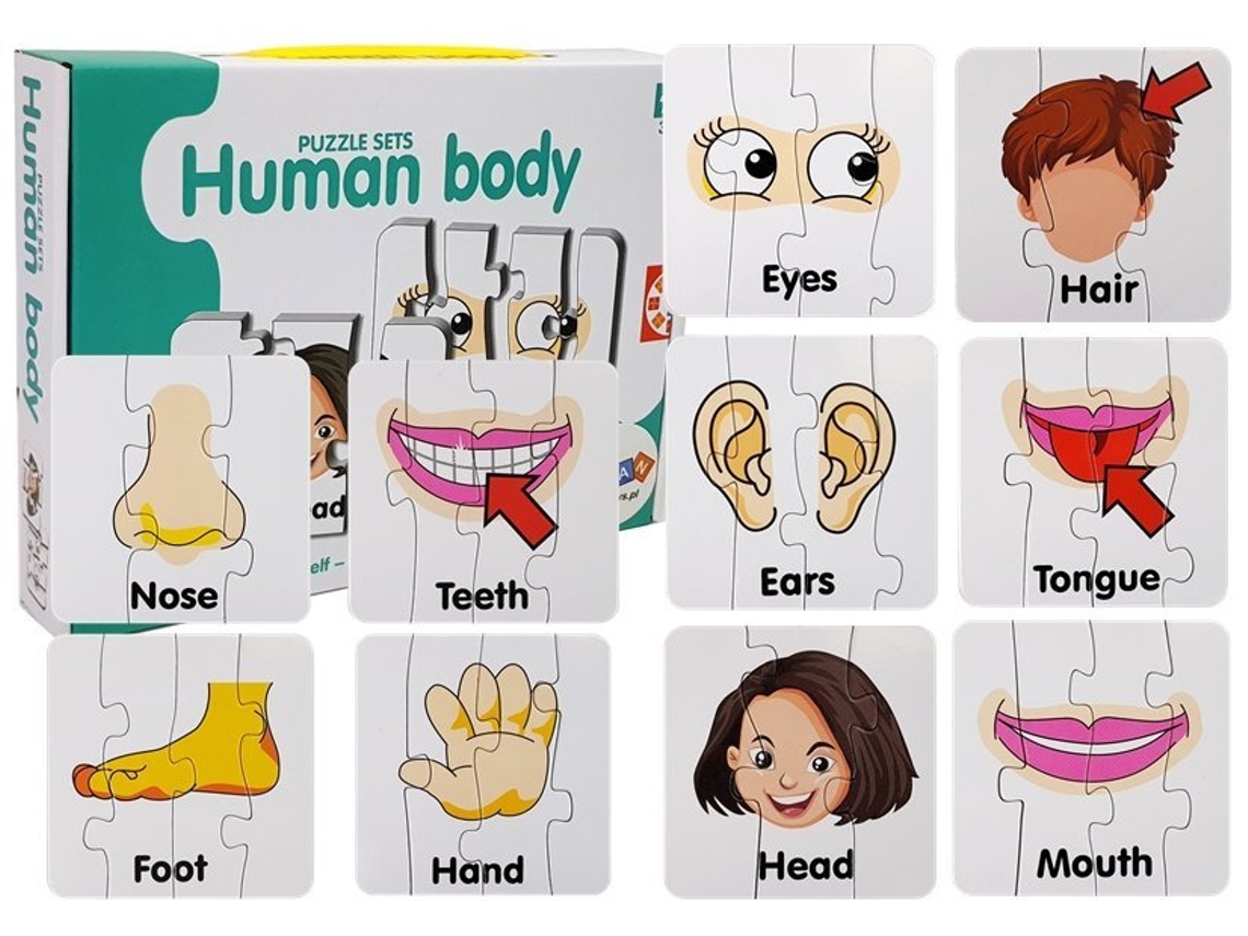 Rompecabezas educativo Partes del cuerpo Rompecabezas 10 Conexiones en inglés B.active