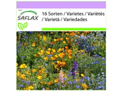 SAFLAX Pradera de montaña 1000 semillas Mix