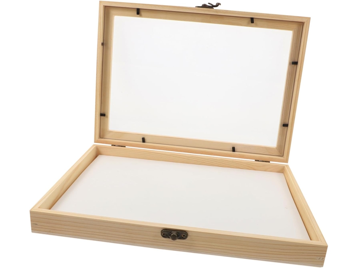 Vitrina Para Colección De Insectos Acolchada Con Eva - Diseño Elegante - Protectora